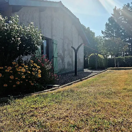 Tatil Evi Avec Piscine